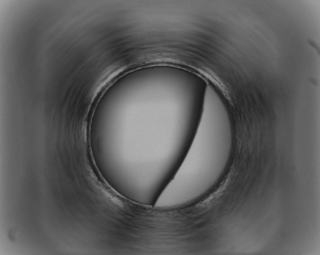 X0000091920790200709051230
