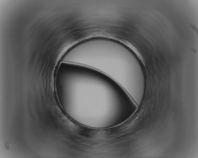 X0000091920791200709051230