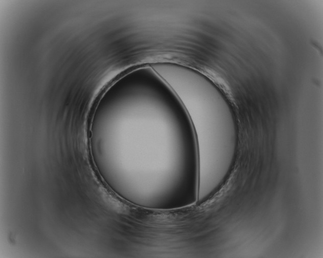 X0000091920792200709051230