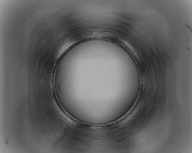 X0000091920794200709051230