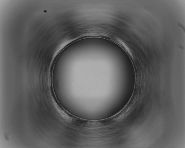 X0000091920795200709051230