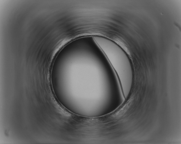 X0000091920797200709051230