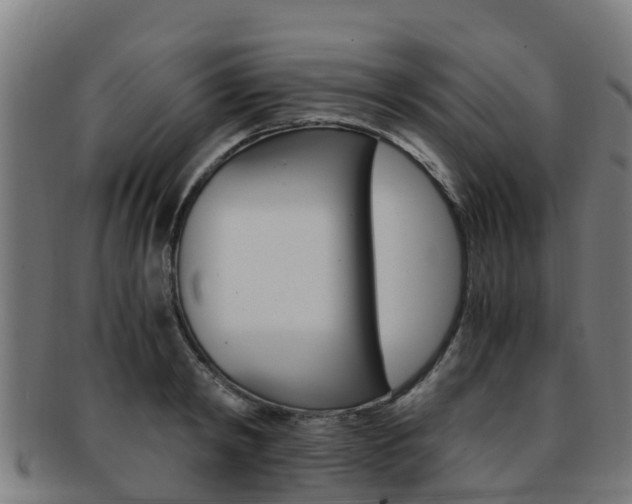 X0000091920798200709051230