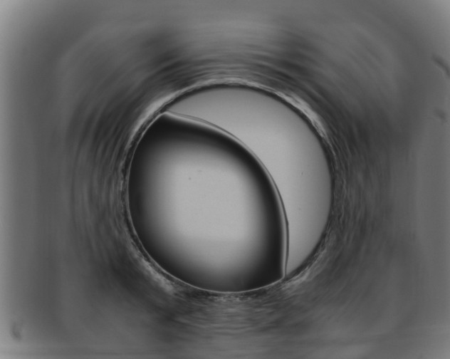 X0000091920799200709051230