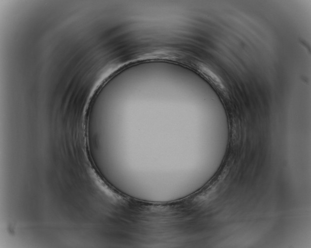 X0000091920800200709051230