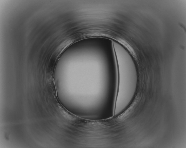 X0000091920801200709051230