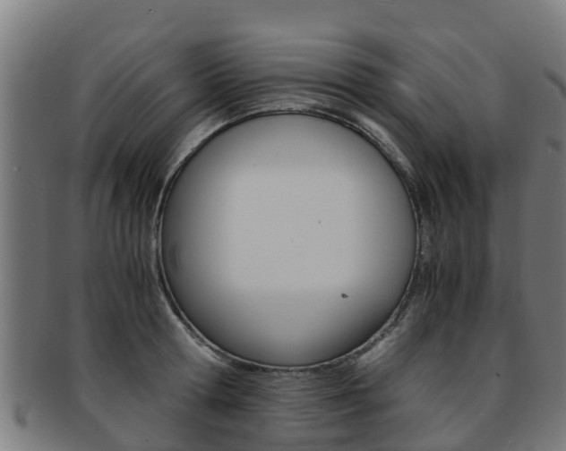 X0000091920802200709051230
