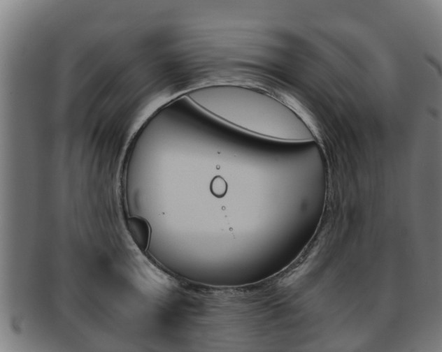 X0000091920803200709051230