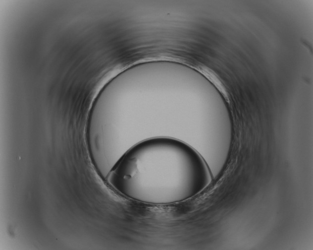 X0000091920805200709051230
