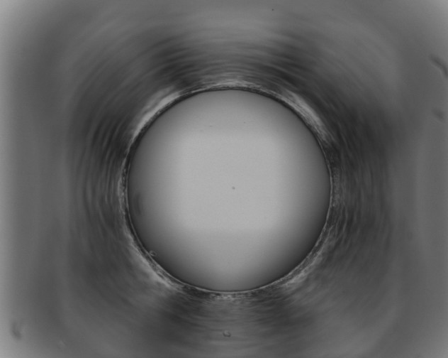 X0000091920806200709051230