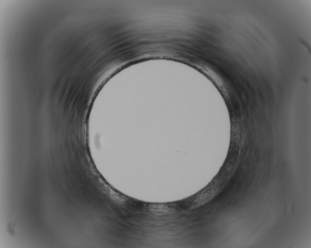 X0000091920807200709051230