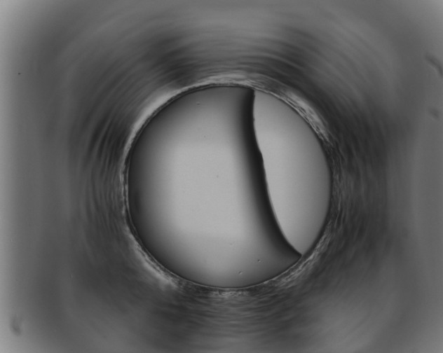 X0000091920808200709051230