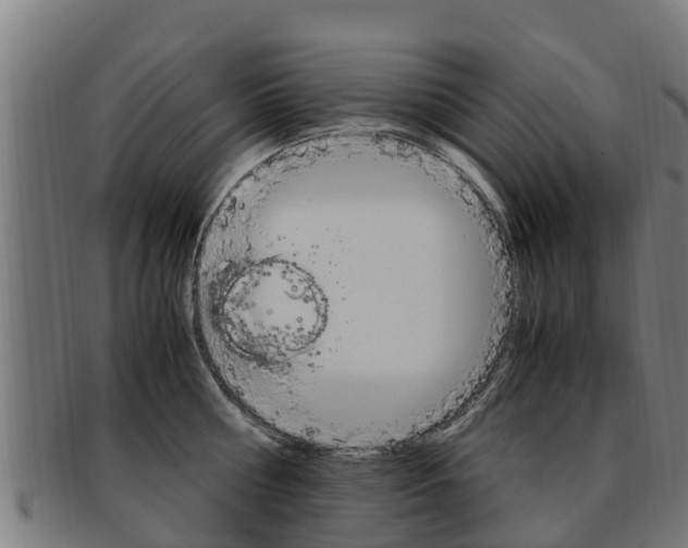 X0000091920810200709051230