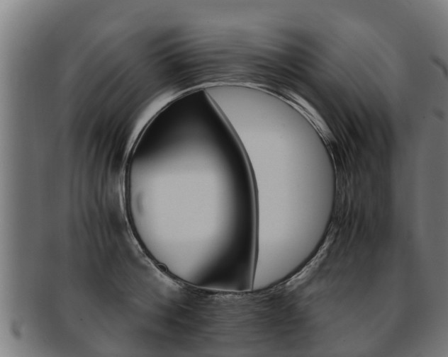 X0000091920812200709051230