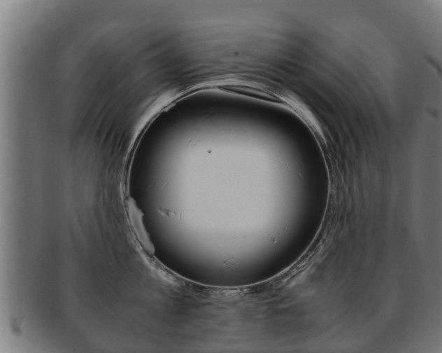X0000091920813200709051230