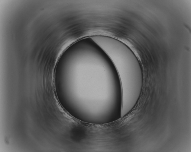 X0000091920815200709051230