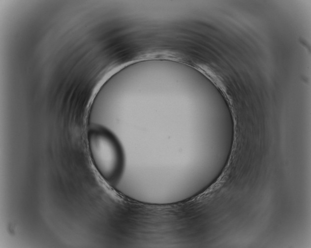 X0000091920816200709051230