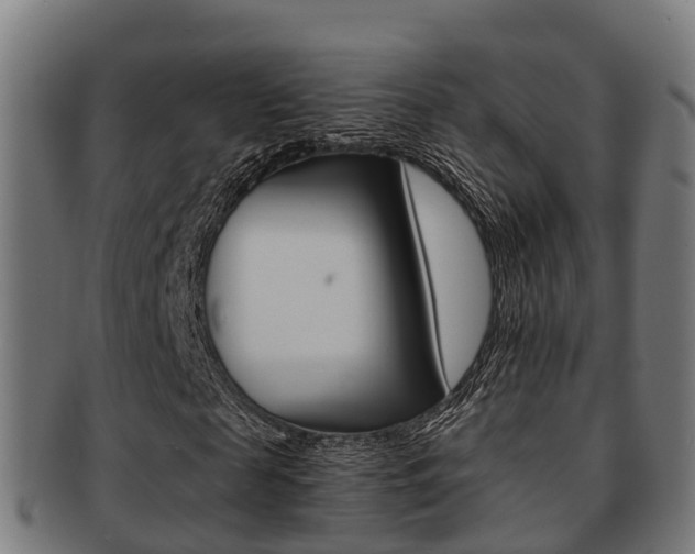 X0000091920817200709051229