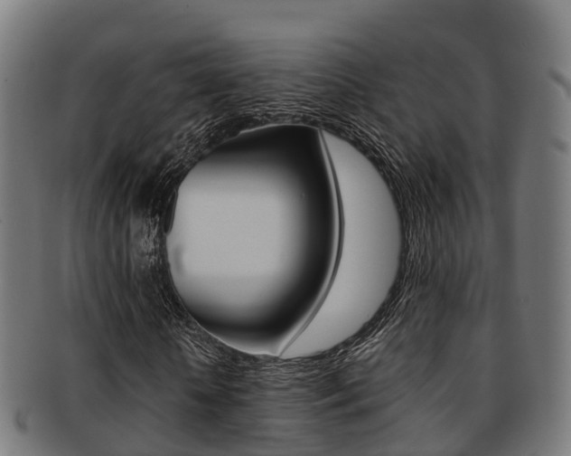 X0000091920818200709051229