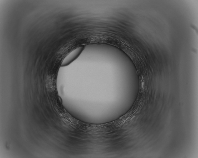 X0000091920819200709051229