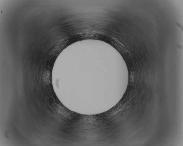 X0000091920820200709051229