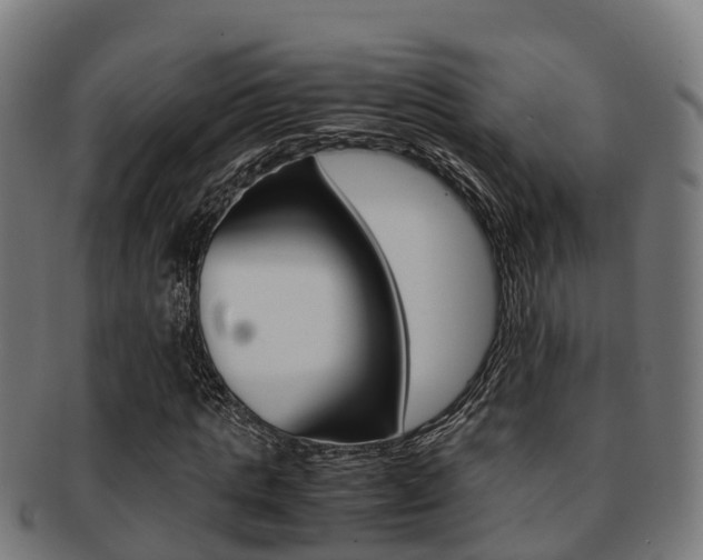 X0000091920821200709051229