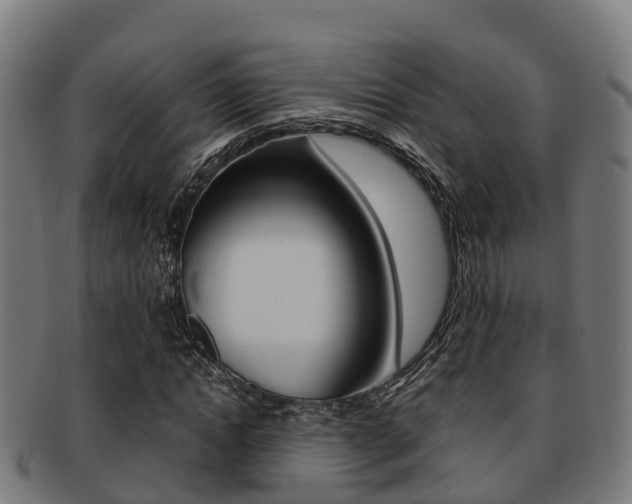 X0000091920822200709051229