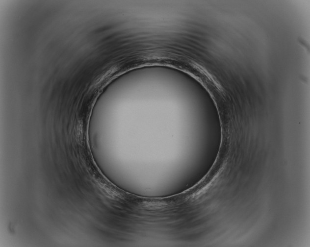 X0000091920825200709051229