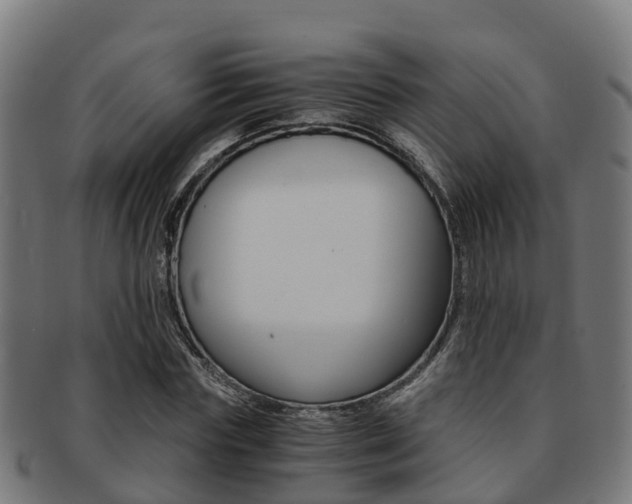 X0000091920827200709051229