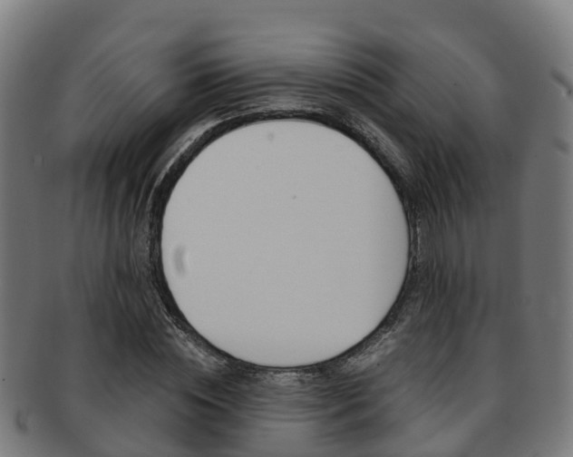 X0000091920828200709051229