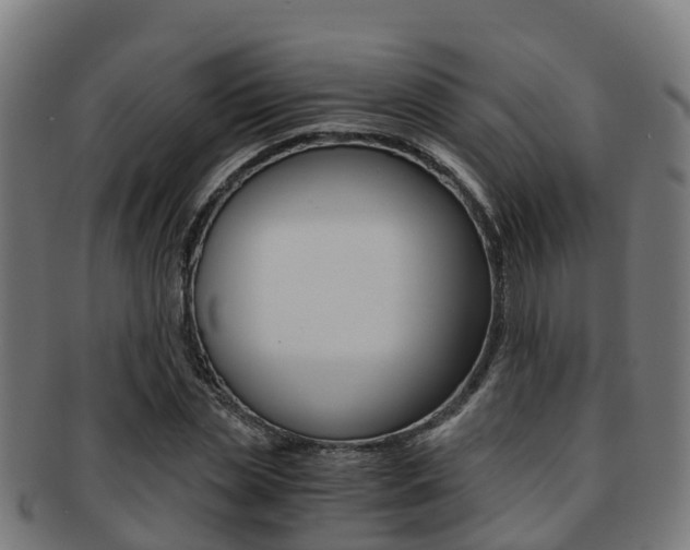 X0000091920829200709051229