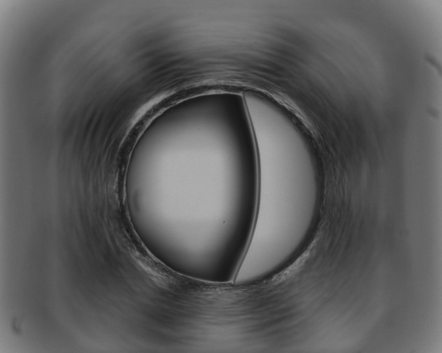 X0000091920830200709051229