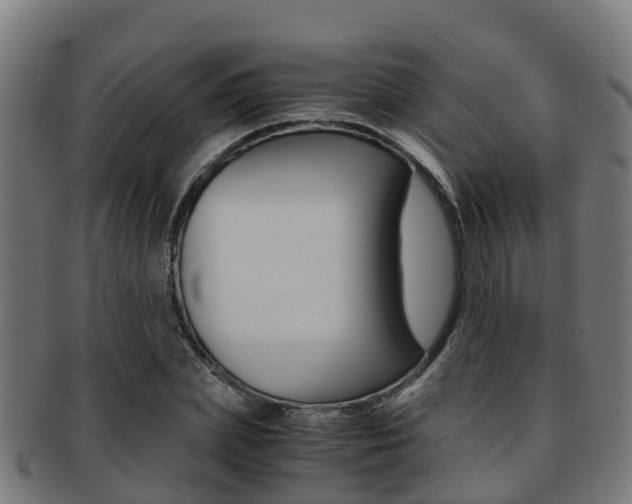 X0000091920831200709051229