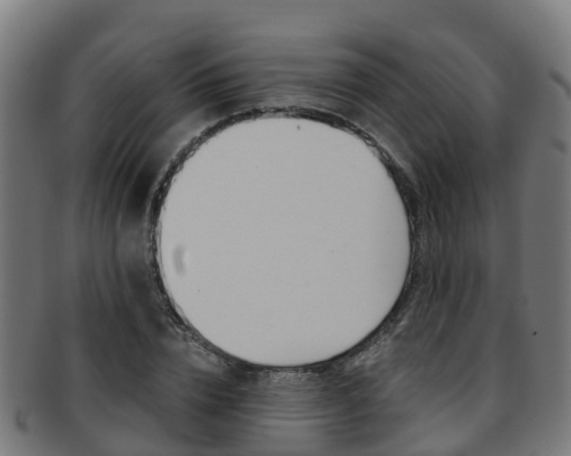 X0000091920832200709051229