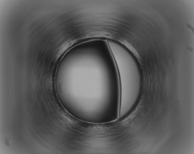 X0000091920834200709051229