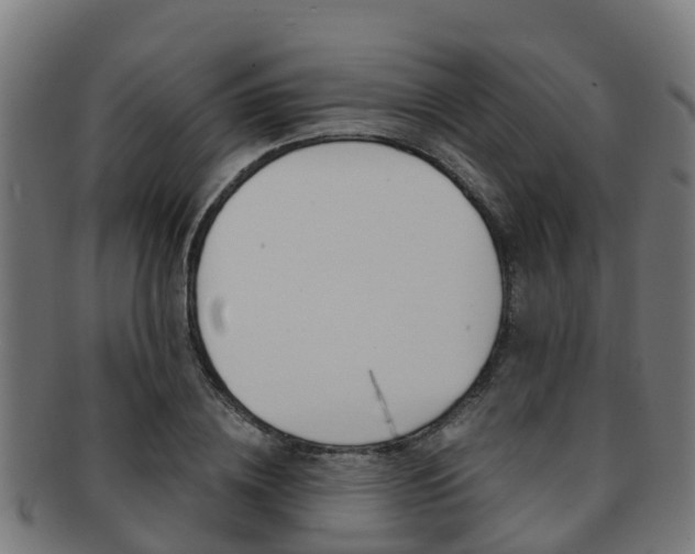 X0000091920836200709051229