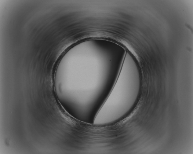 X0000091920837200709051229