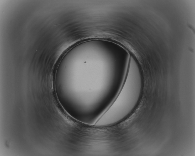 X0000091920838200709051229