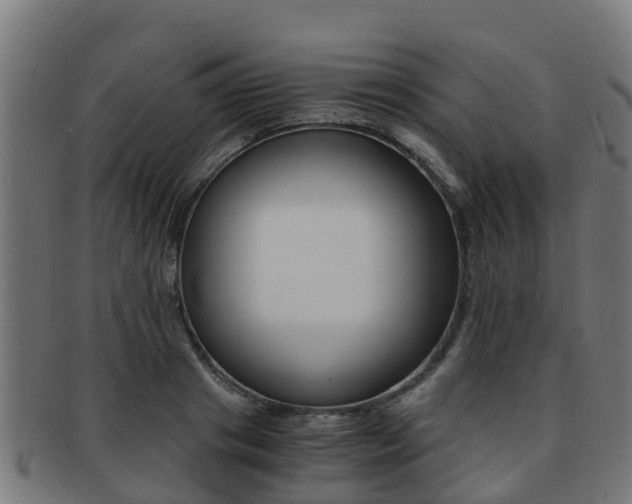 X0000091920841200709051229
