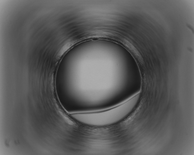 X0000091920842200709051229