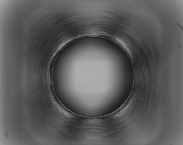 X0000091920843200709051229