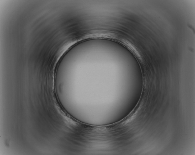 X0000091920844200709051229