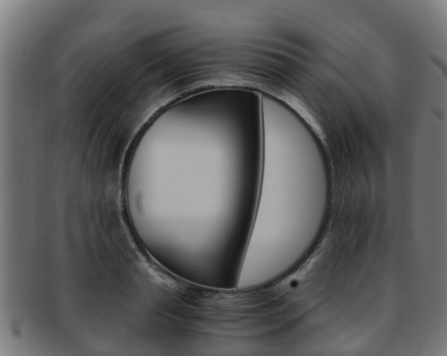 X0000091920845200709051229