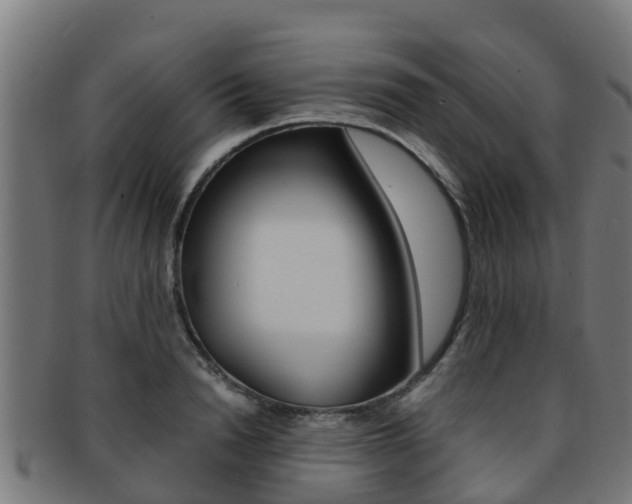 X0000091920846200709051229