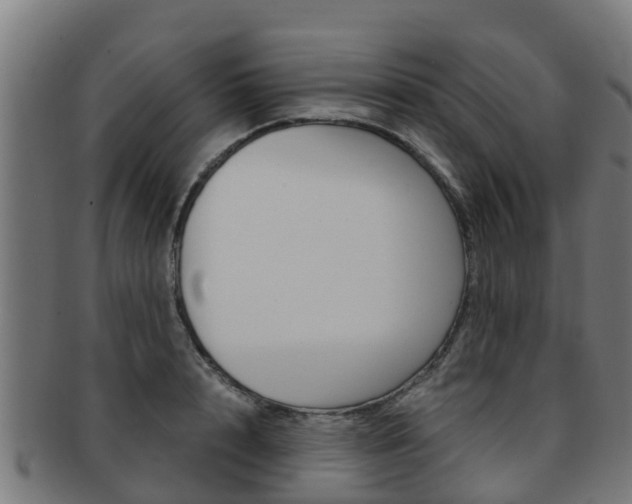 X0000091920848200709051229