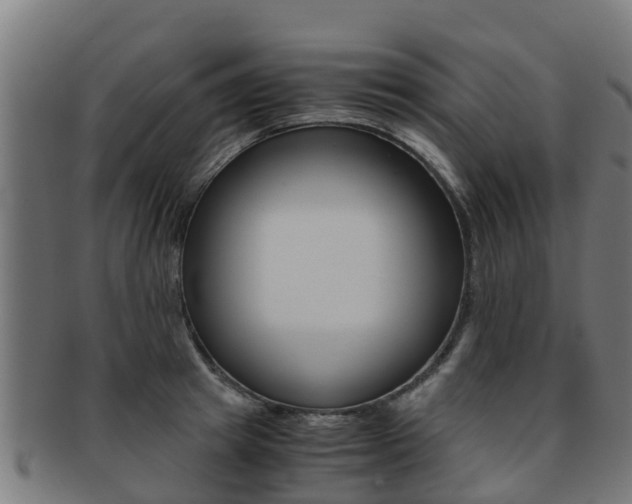 X0000091920849200709051229