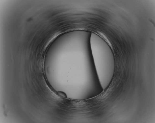 X0000091920851200709051229