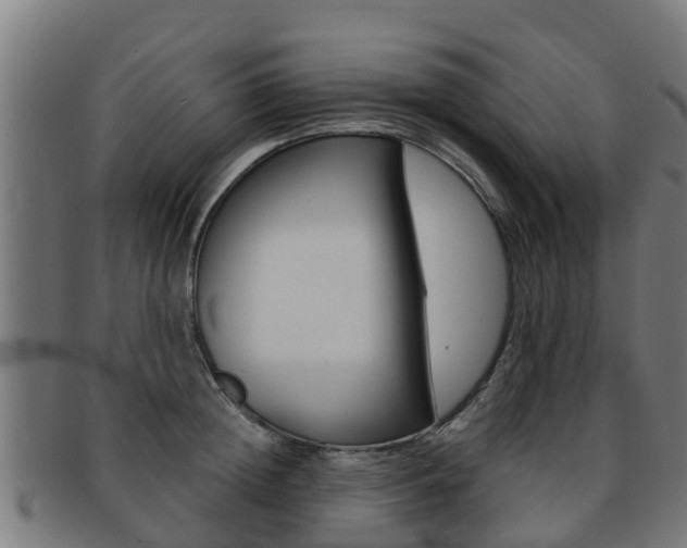 X0000091920852200709051229
