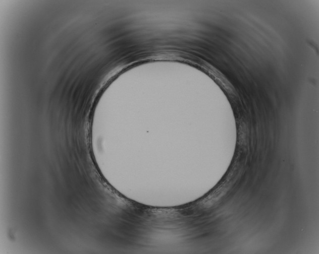 X0000091920856200709051229