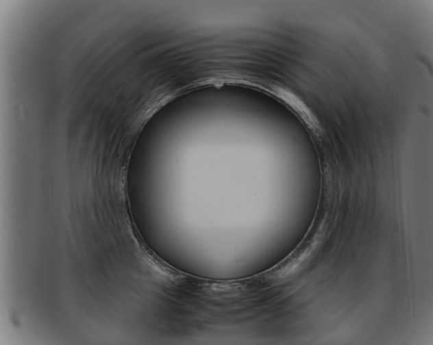 X0000091920857200709051229